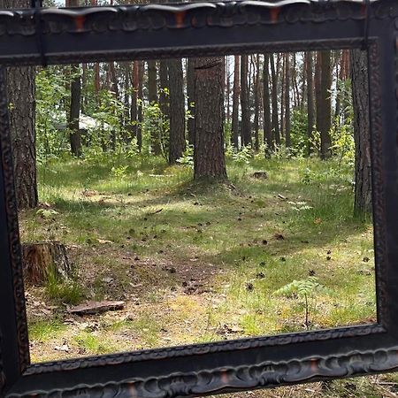 Gora Spokoju Osada Klimatyczna-Lesna Inowlodz Ngoại thất bức ảnh