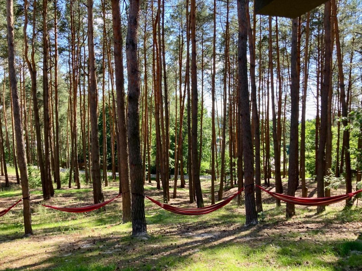 Gora Spokoju Osada Klimatyczna-Lesna Inowlodz Ngoại thất bức ảnh